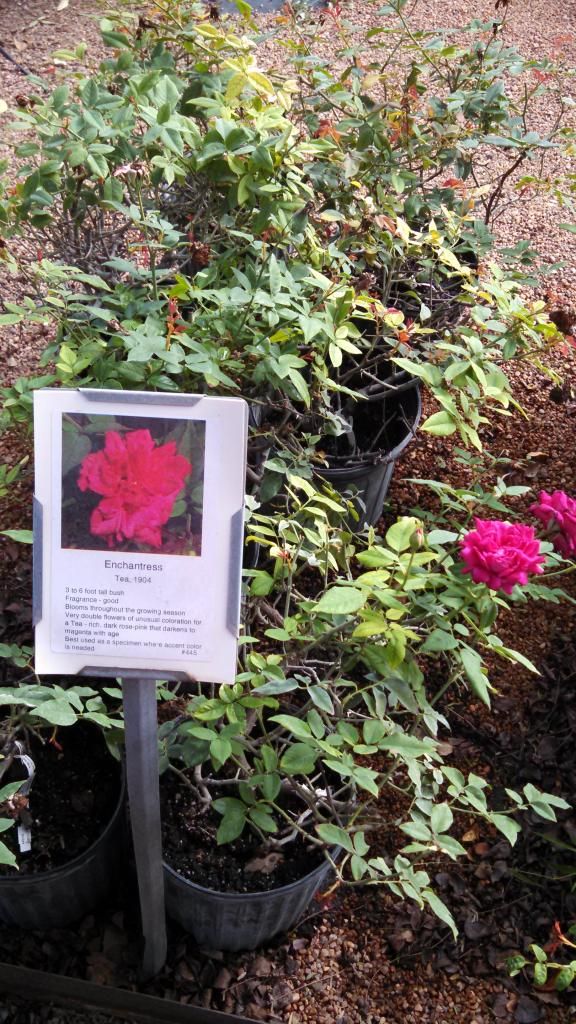  photo IMG_20140924_101441_757.jpg